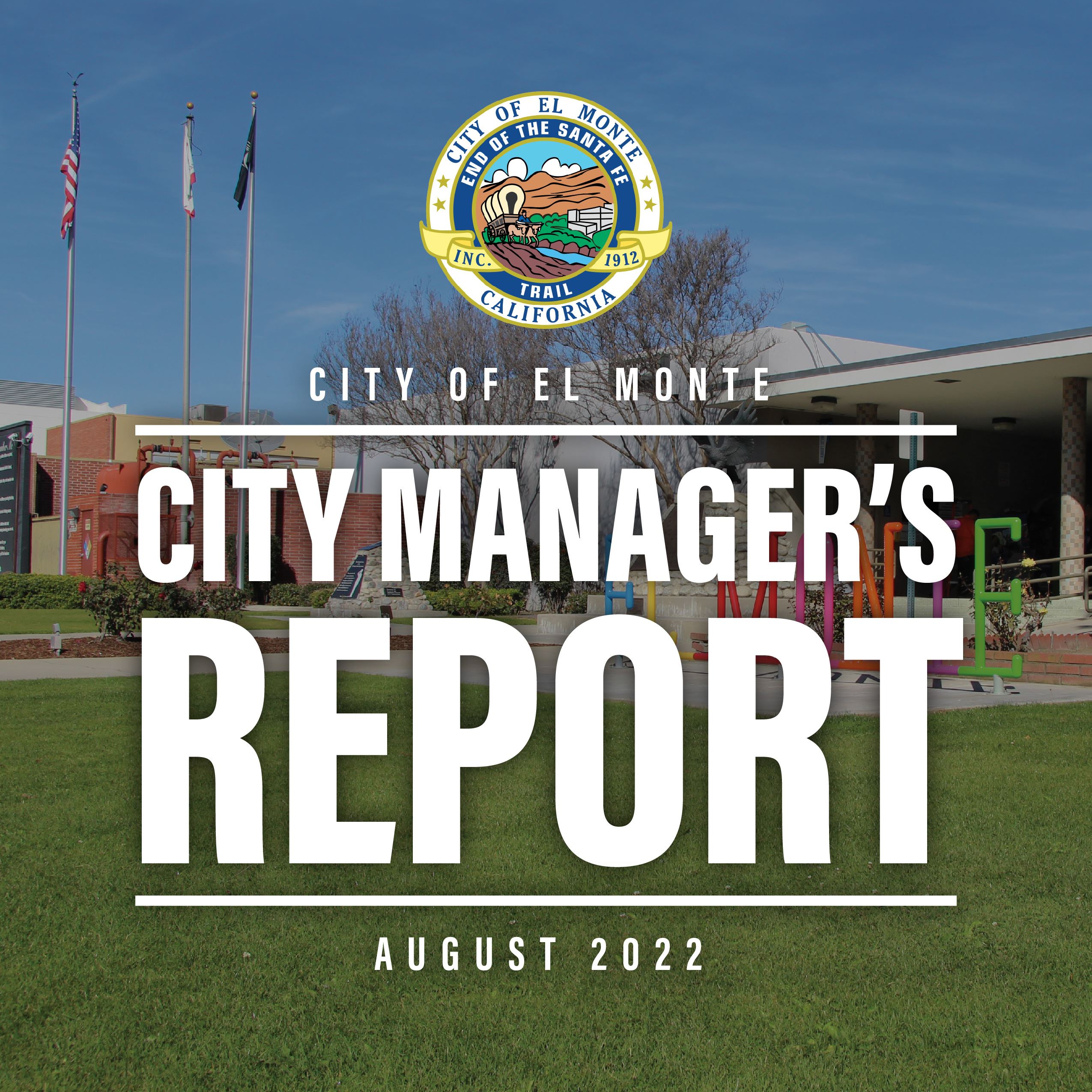 social media - city managers report 02-01