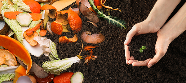 Food scraps with compost