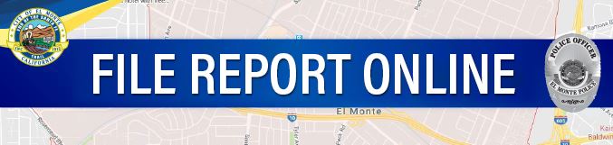 file report online (edit 02)